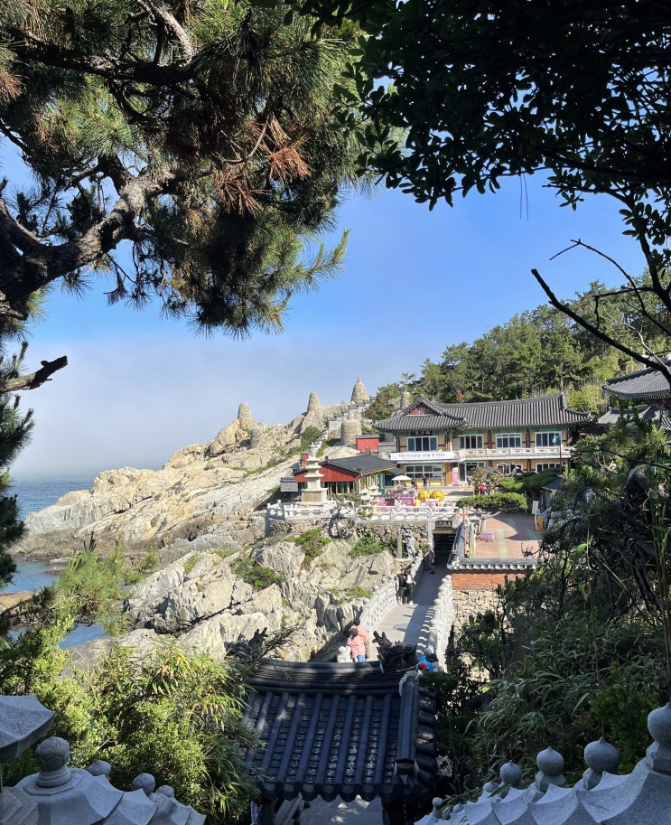  뚜벅이 1박2일 부산여행