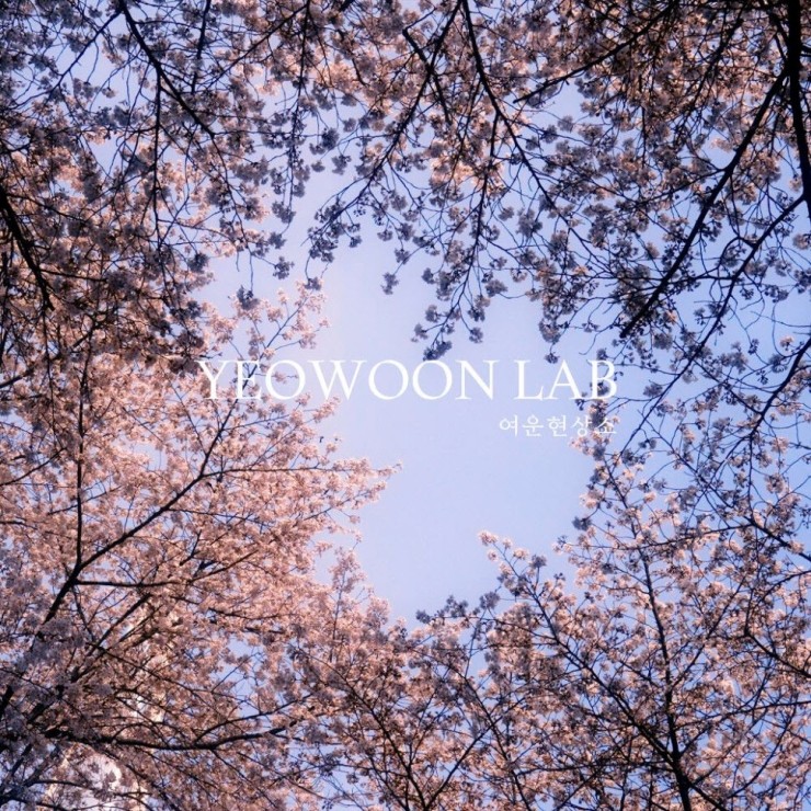 여운현상소 - Spring Flower [노래가사, 듣기, Audio]