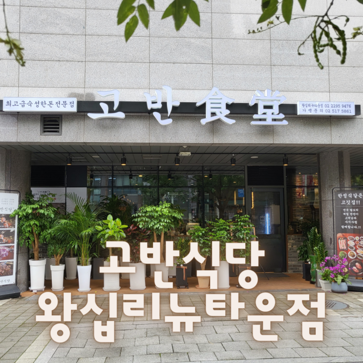  [서울 성동구] 왕십리 텐즈힐 맛집 ::고반식당 왕십리뉴타운점:: 신상 고기집