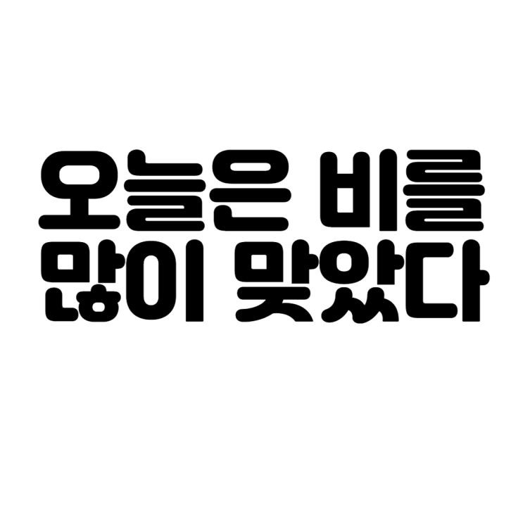  오늘은 비를 많이 맞았다