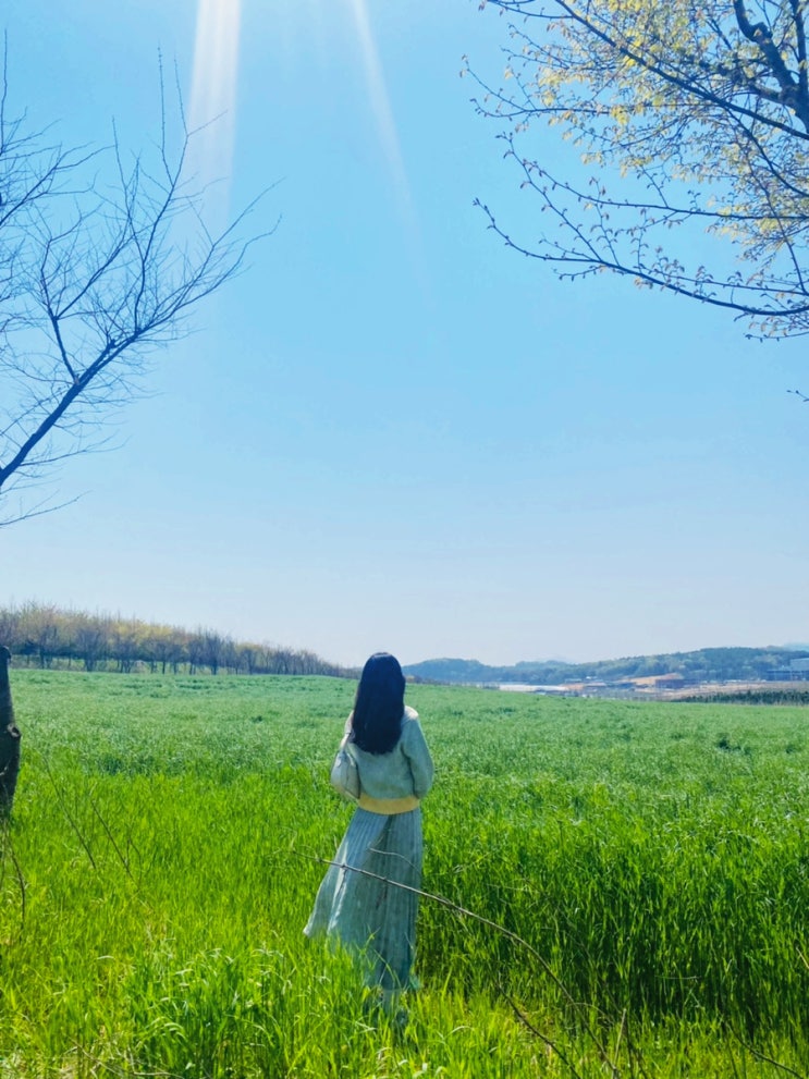  당진 아그로랜드 태신목장/연인끼리 데이트,아이랑 봄 나들이,가을소풍 가기 좋은 곳