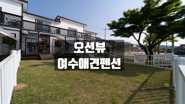  여수애견펜션 여름맞이 잔디마당 시원한 물놀이
