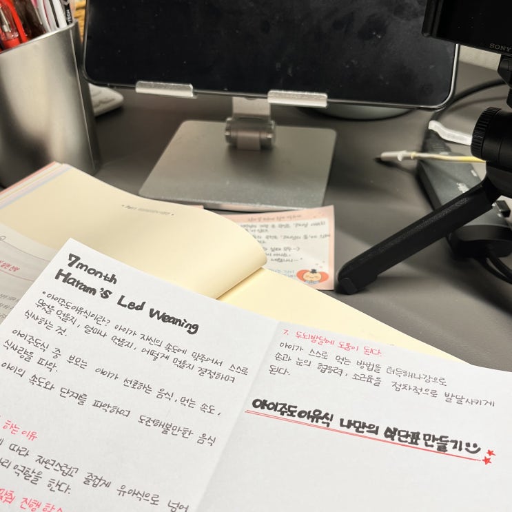  [육아 일기]  D+195 곧 200일 맞이하는 6개월 아기와의 하루| 6개월 아기 놀잇감 회전 딸랑이 주문 | 6개월 아기 발달 |자기 주도 이유식 | 육퇴 후 시간 즐기기
