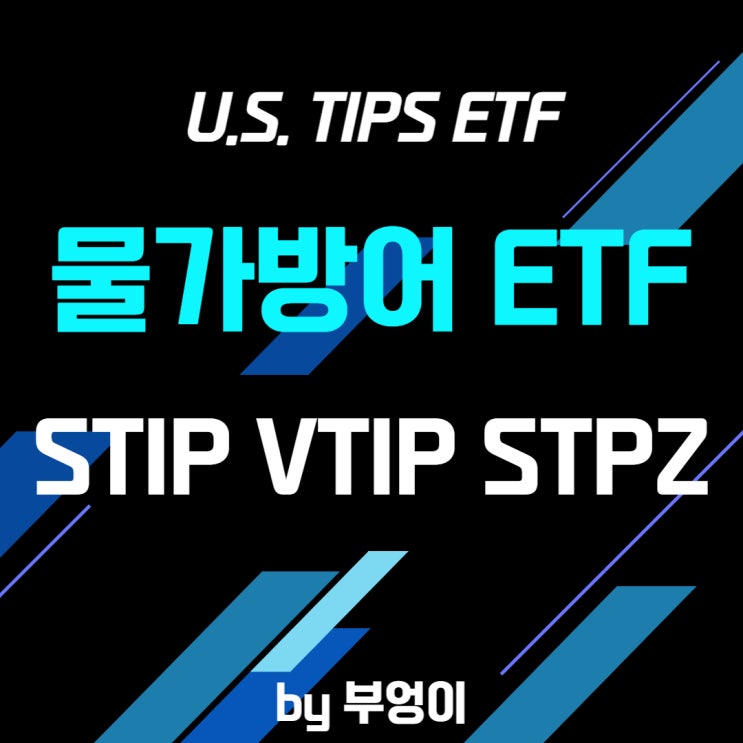미국 물가방어(TIPS) 국채 ETF - STIP, VTIP, STPZ (인플레이션 연동 관련주)