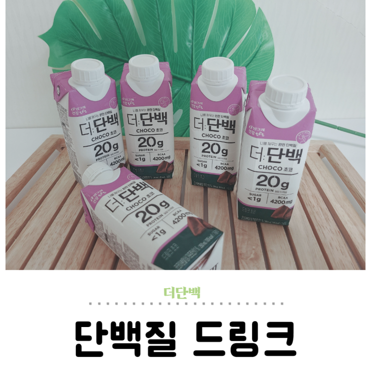  더단백 드링크 목넘김 좋은 단백질 보충제 꾸준히 섭취해요