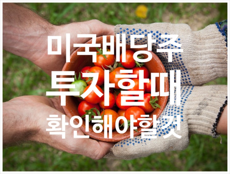 매달 50만원 부수입 만드는 법 (잠든 사이 월급 버는 미국 배당주 투자)