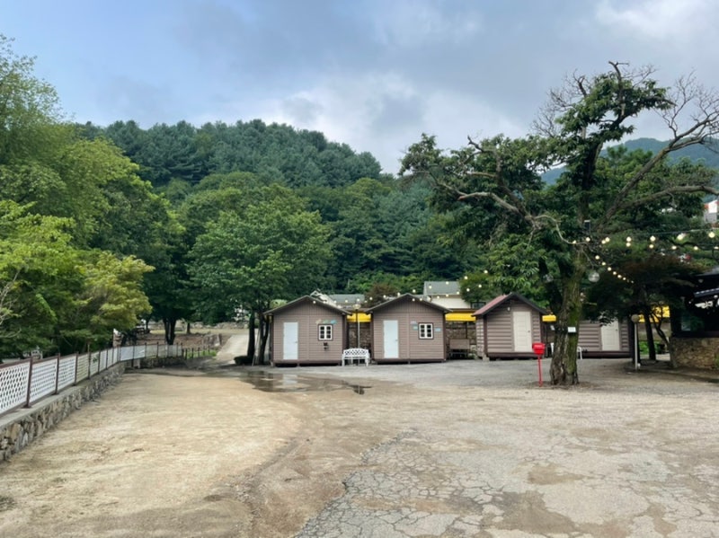 사진 9
