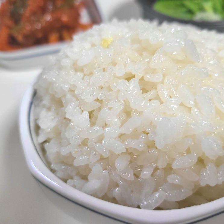 한국인은 밥심! 《안동농협 백진주쌀》 밥맛 좋고 찰진 맛있는쌀 추천
