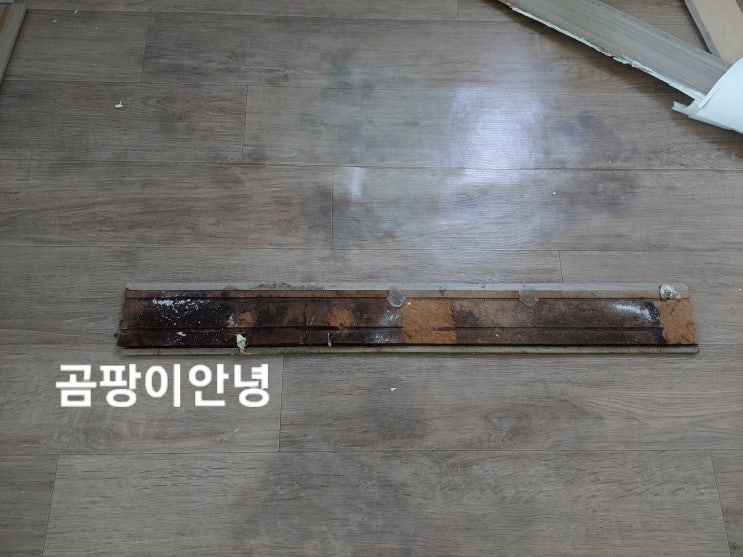  구미 바닥 장판 곰팡이 제거 생기는 이유 해결 by 곰팡이안녕