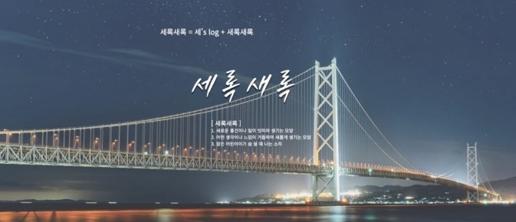  [세록새록] 10주차 주간일기 챌린지