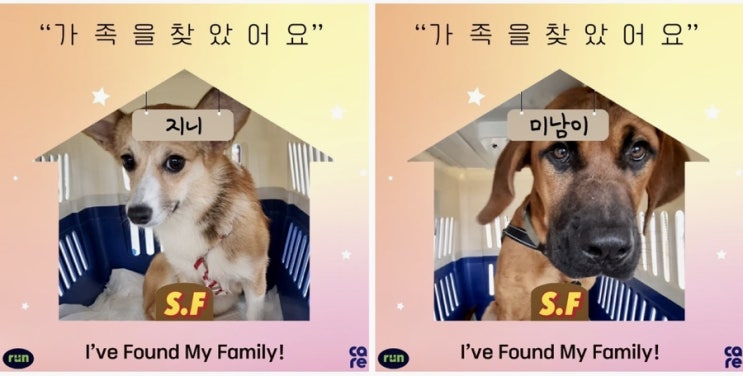  우리 지니&미남이가 샌프란시스코로 갔어요️ 동물권단체케어/ care