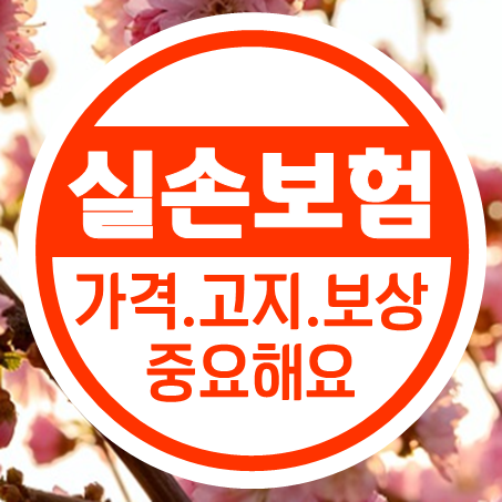  노후실손보험 가격 및 고지내용과 원활한 보상이 중요해요!