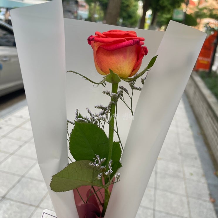 [8월 2주차] 주말 기록
