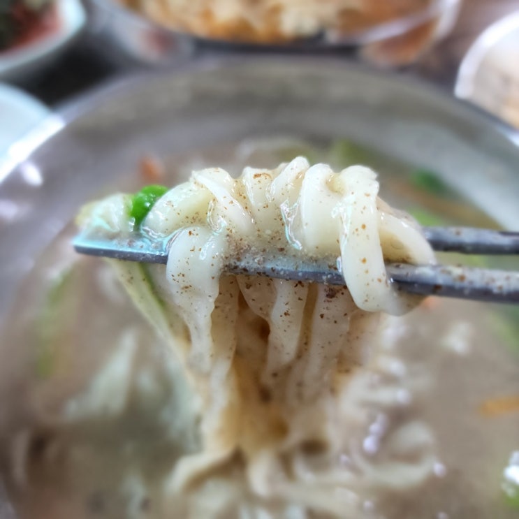  서산 운산 손칼국수!!