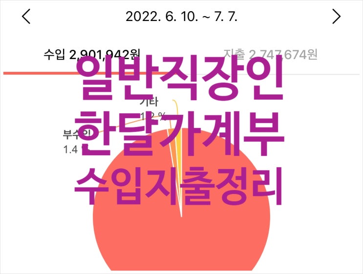 22.06월 4년차 30대 직장인 가계부 (짠테크, 돈아끼는법)