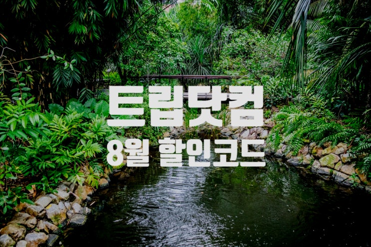 트립닷컴 8월 할인코드 전세계 호텔 최대 50% + 추가 3% 할인 트립닷컴 8월 할인코드 전세계 호텔 최대 50% + 추가 3% 할인