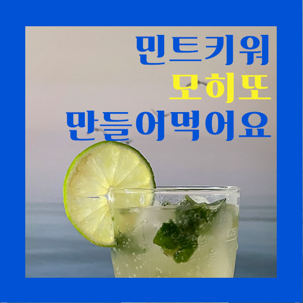  요리 부재료 스피어민트로 모히또 만들어 먹어요. 민트키우기 물꽂이 진딧물