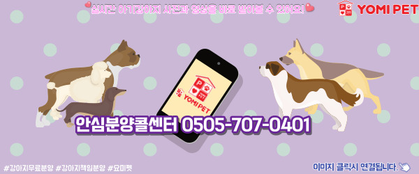 강아지분양 안심분양콜센터
