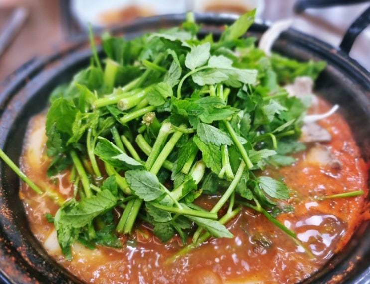  인천 서구 원당동 등촌샤브칼국수_시원한 미나리 궁물이 입덧에 딱이네