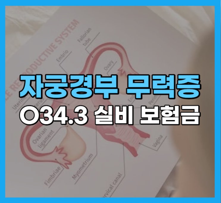  자궁경부 무력증 O34.3 실비 보험금 받을 수 있나요