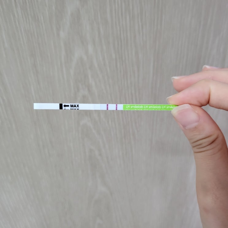  4월부터 계획 실행한 성질 급한 부부의 자연임신 준비 및 성공 기록 :: 스마일 배테기, 임테기, 휴마시스 얼리 임테기 정확도 및 사용 후기