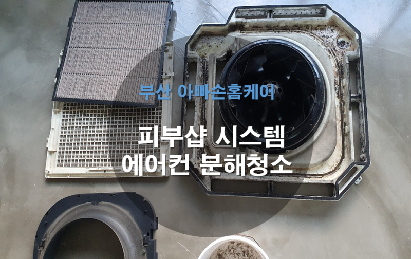 부산시스템에어컨청소로 곰팡이와 세균 완전박멸
