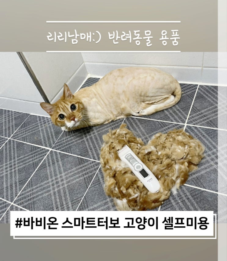  바비온 고양이이발기 고양이셀프미용