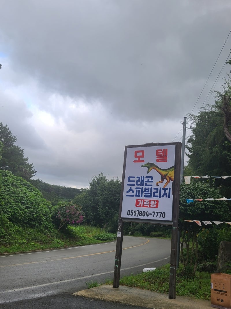 사진 2