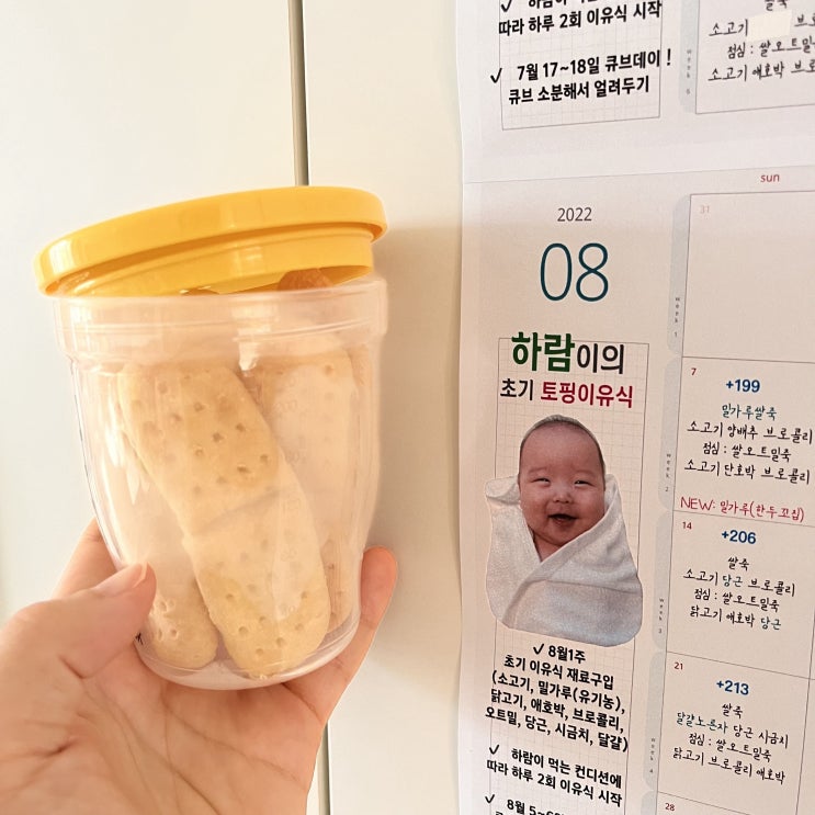  [육아 기록] D+194 우리 아기 첫 간식 분유 티딩러스크 만들기 (레시피)| 토핑이유식에 딱인 블루 마마 자기 주도 식판 | 소고기 큐브 만들기 | 초기 토핑이 유식 식단
