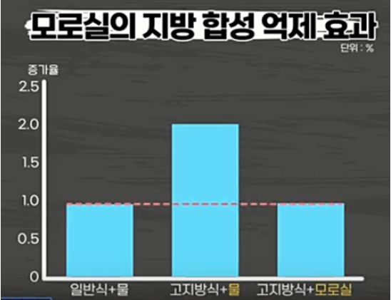 모로 오렌지 이미지3