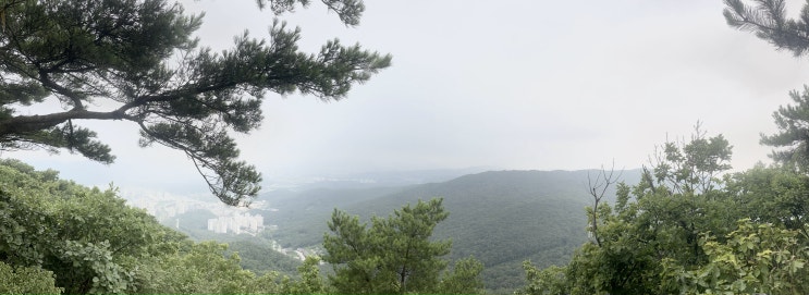 [BAC100++] 바리산, 바리산자연휴양림 코스