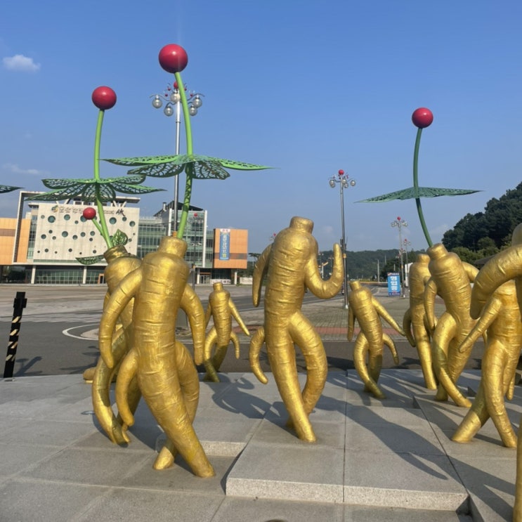 충남 금산 인삼도매시장 / 인삼, 수삼에 진심인 곳 충남 금산 인삼도매시장 / 인삼, 수삼에 진심인 곳