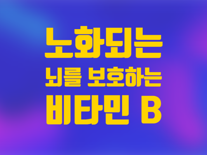  비타민B 우울증 치매 노화되는 뇌를 보호하는 Vitamin