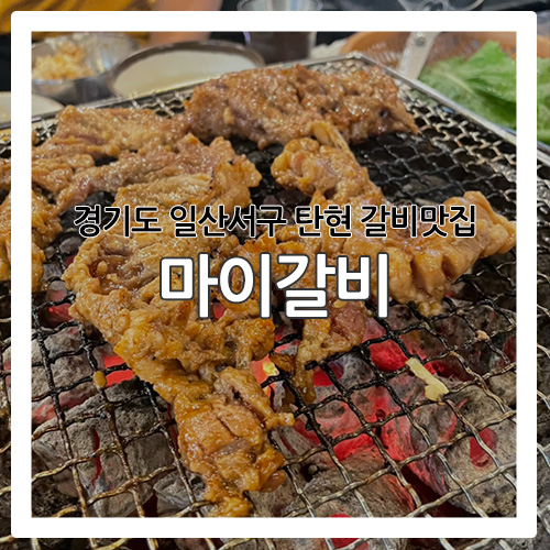 [일산 맛집] 탄현에 위치한 양념갈비 맛집 '마이갈비'