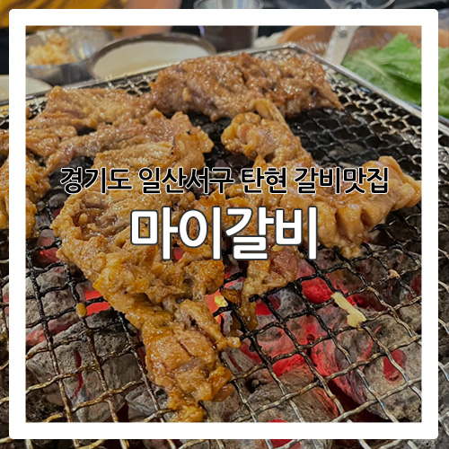  [일산 맛집] 탄현에 위치한 양념갈비 맛집 '마이갈비'