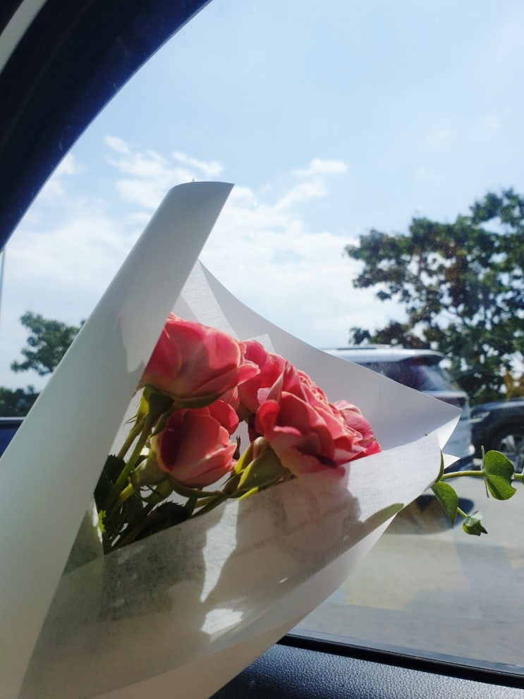  프로포즈 기록, 인생에서 가장 특별한 순간