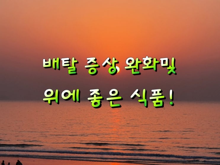 배탈 증상 완화및 위에 좋은 식품!