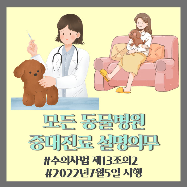  강아지] 모든 동물 병원 " 중대 진료 설명의무 " 2022년 7월 5일 시행 (수의사법 제13조의 2)