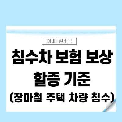  침수차 보험 보상 및 할증 기준과 확인(여름 장마철 및 폭우기간 차량 피해)