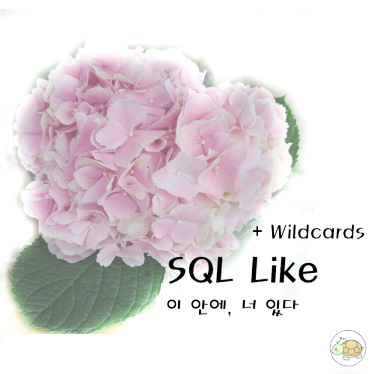  SQL Like 와 Wildcards