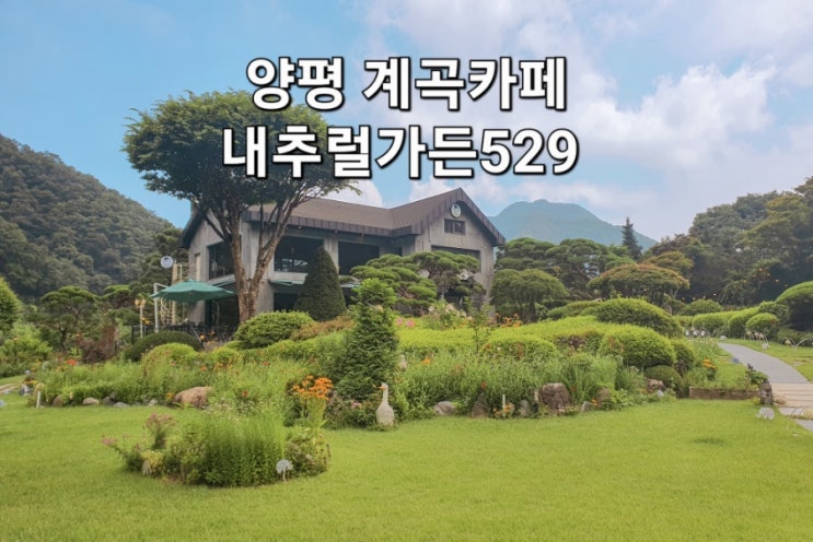 양평 계곡카페 내추럴가든529 정원 넘 이뻐요~