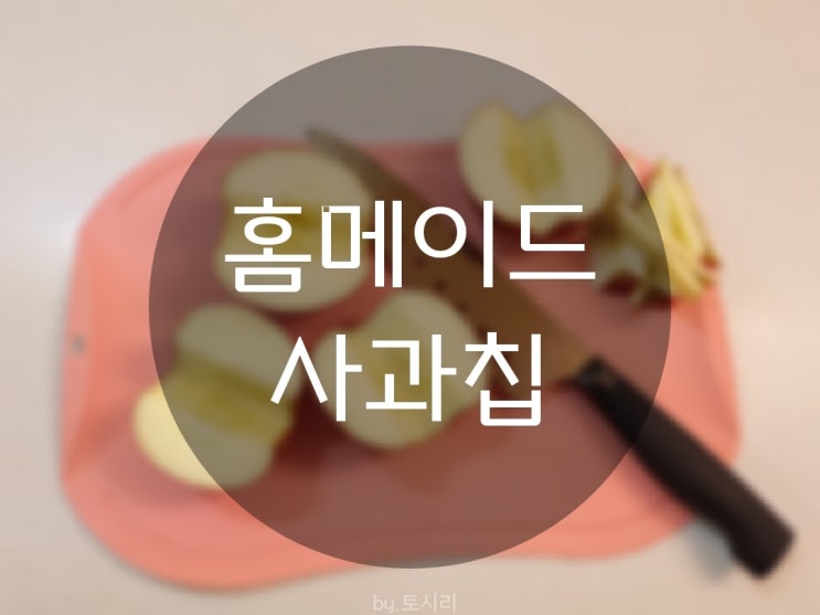  [홈메이드] 사과칩만들기/사과칩/건조기활용/간식만들기/과일건조/초간단레시피