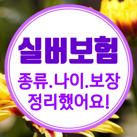  시니어보험 종류 및 나이 제한, 주요 내용을 정리해 봤어요.