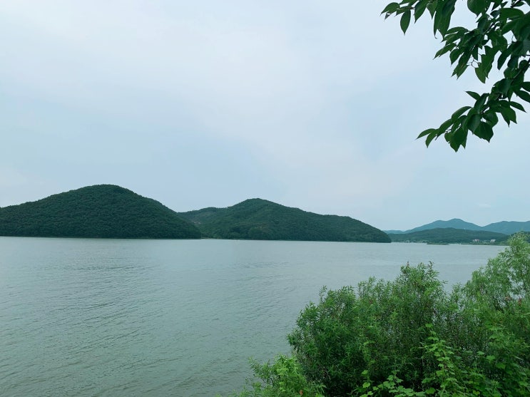 경기도 가볼만한곳 용인 이동저수지 드라이브 용인8경 데이트 경기도 가볼만한곳 용인 이동저수지 드라이브 용인8경 데이트