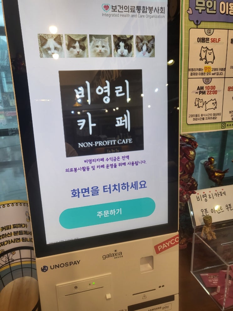 보건의료통합봉사회(한성대입구역)-고양이 카페 보건의료통합봉사회(한성대입구역)-고양이 카페