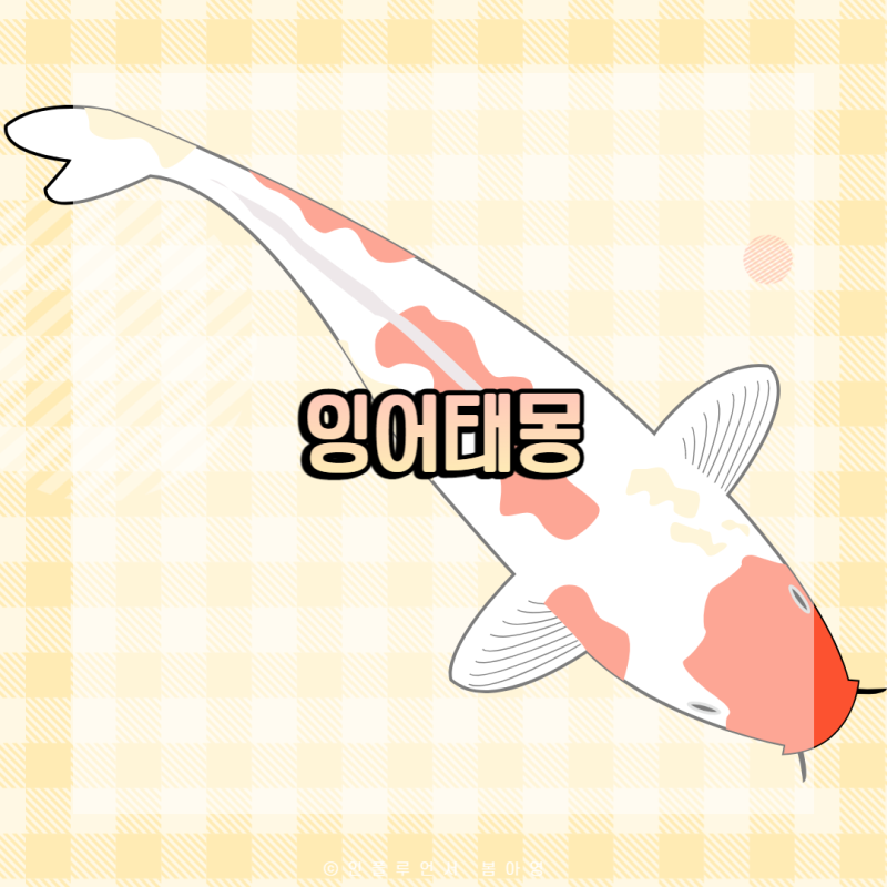 비단잉어, 검은 잉어, 황금잉어 태몽 성별 및 의미