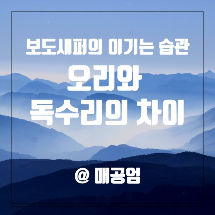  보도섀퍼의 이기는 습관 오리와 독수리의 차이