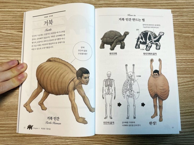동물병원에서 침치료를 한다? #00265 동물병원에서 침치료를 한다? #00265