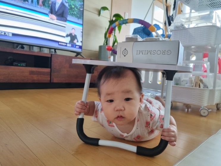  8월 둘째주 주간일기!