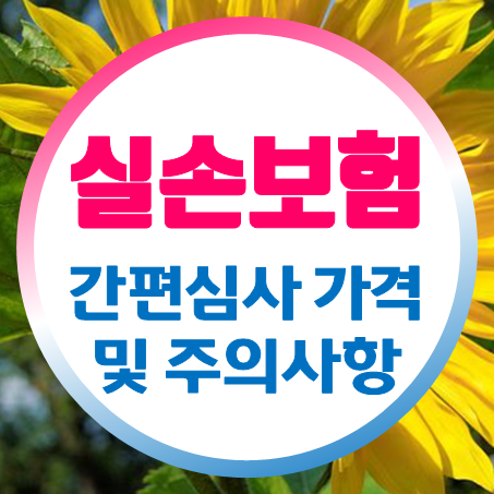  간편실손보험 가격 및 주의할 점을 살펴봤어요.